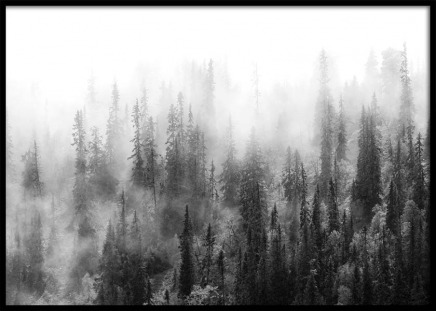 Over The Forest Poster in the group Prints / Black & white at Desenio AB (10177)