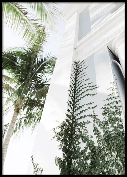 Climbing Plant Poster in the group Prints / Nature at Desenio AB (10628)