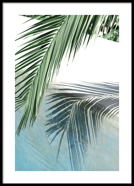 Poolside Palm Reflection Poster in the group Prints / Photographs at Desenio AB (10666)