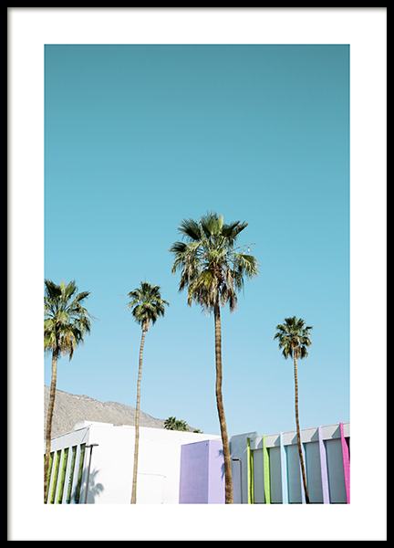 Rainbow Palms Poster in the group Prints / Nature at Desenio AB (10789)