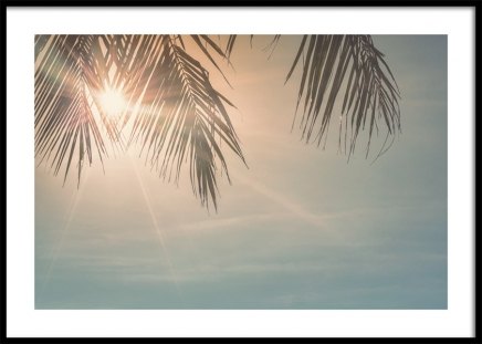 Sunset Palm Leaves Poster in the group Prints / Nature at Desenio AB (10882)