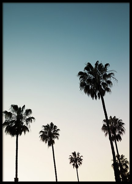 Palm Sunset Poster in the group Prints / Nature at Desenio AB (10957)