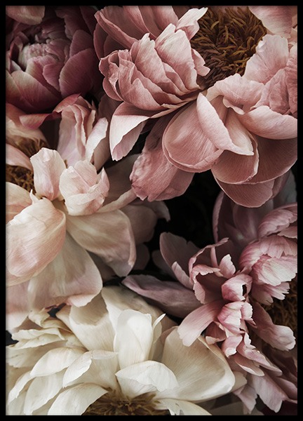 Flower Wall Poster Peonies In Pink Desenio Ie