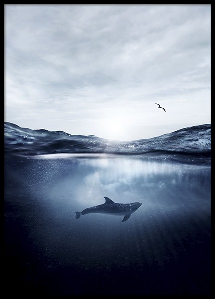 Dolphin Underwater Poster in the group Prints / Nature at Desenio AB (11049)