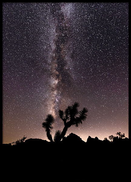 Desert Space Poster in the group Prints / Nature at Desenio AB (11167)