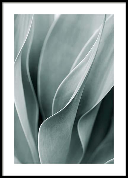 Agave Leaves No3 Poster in the group Prints / Photographs at Desenio AB (11661)