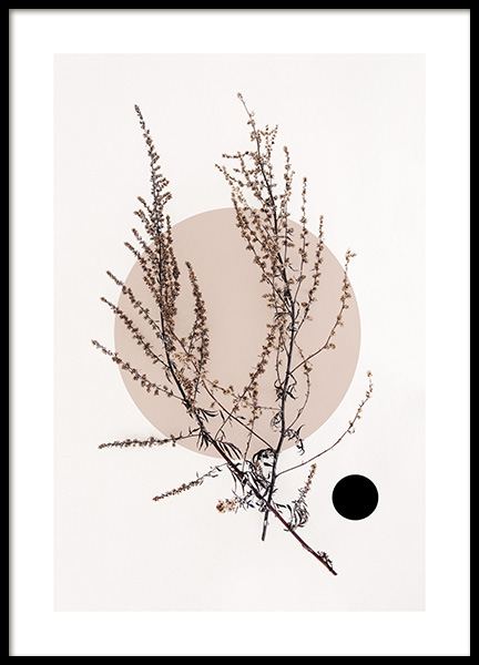 Dried Leaf No4 Poster in the group Prints / Botanical at Desenio AB (11805)