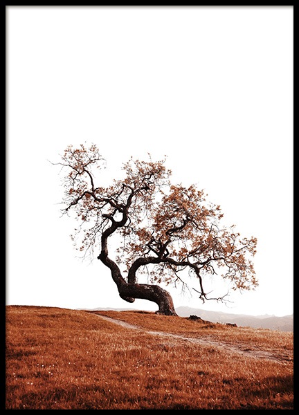 Tree on Hill Poster in the group Prints / Nature at Desenio AB (11869)