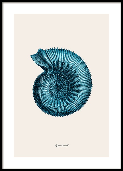 Blue Ammonit Poster in the group Prints / Nature at Desenio AB (12429)