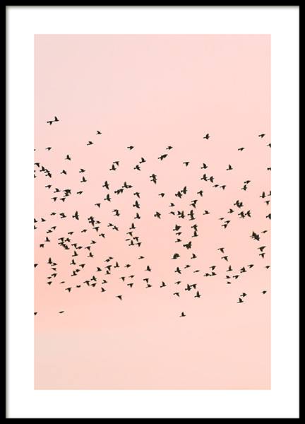 Pink Sunset Birds Poster in the group Prints / Nature at Desenio AB (12601)