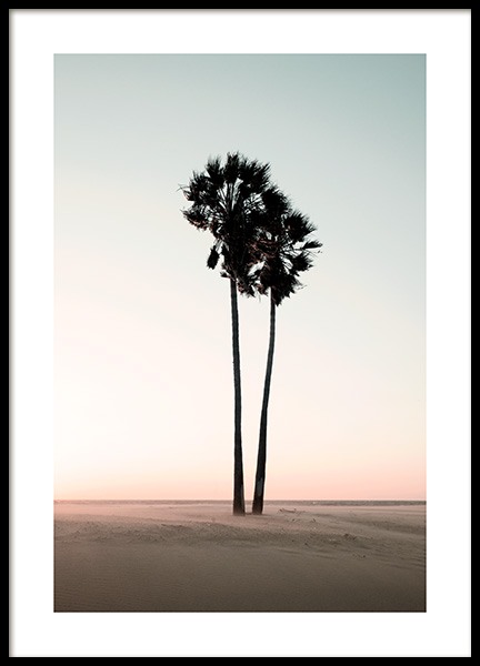 Coconut Palm Trees Poster in the group Prints / Nature / Tropical at Desenio AB (12647)