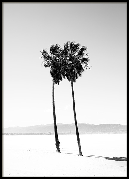 Palm Trees B&W Poster in the group Prints / Black & white at Desenio AB (12649)