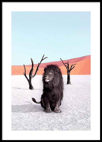 Namibia Poster in the group Prints / Photographs at Desenio AB (12740)