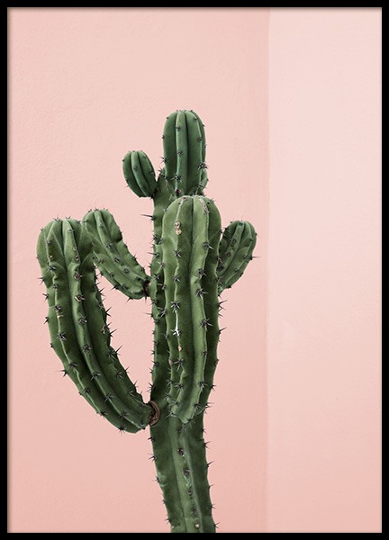 Cactus Corner Poster in the group Prints / Photographs at Desenio AB (12746)