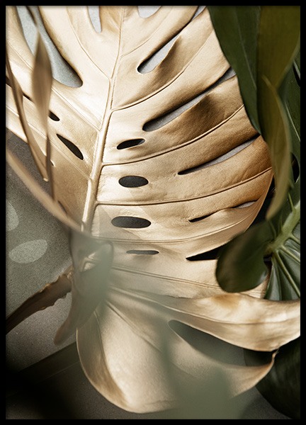 Golden Monstera leaves Poster in the group Prints / Botanical / Monsteras at Desenio AB (13573)