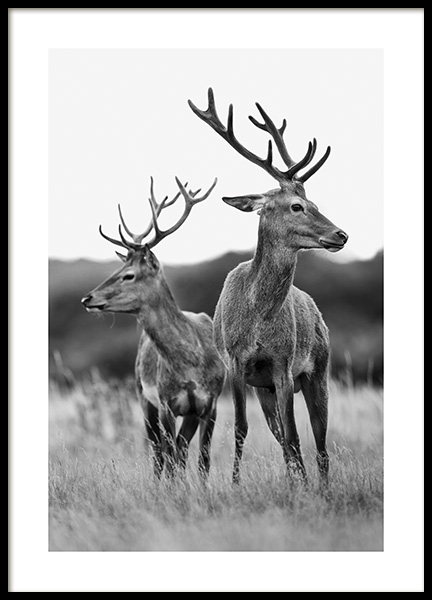 Deer Friends Poster in the group Prints / Animals at Desenio AB (13590)