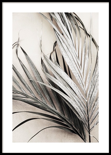 Dry Palm Leaves No3 Poster in the group  at Desenio AB (13672)