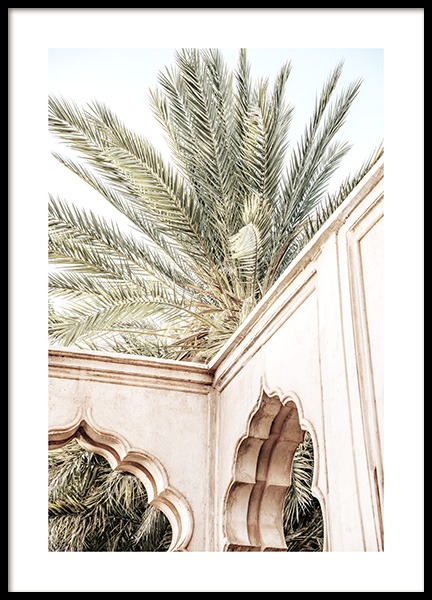 Palm Curves Poster in the group Prints / Photographs at Desenio AB (14217)