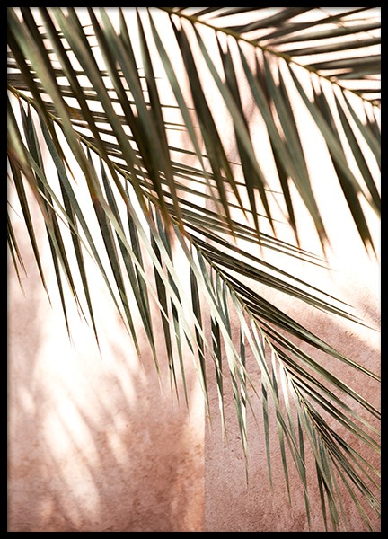 Pink Shadow Poster in the group Prints / Photographs at Desenio AB (14219)