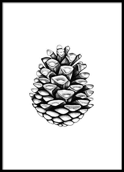 Pinecone Poster in the group Prints / Black & white at Desenio AB (2274)