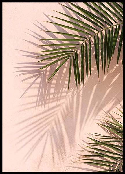 Pink Palm Poster in the group Prints / Photographs at Desenio AB (2405)