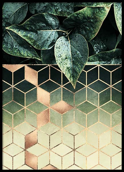 Leaves And Cubes Poster in the group Prints / Art prints at Desenio AB (2813)