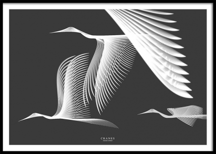 Cranes In Moiré Poster in the group Prints / Animals at Desenio AB (3223)
