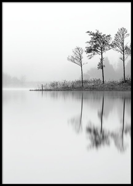 Black and white photo prints and prints with nature online