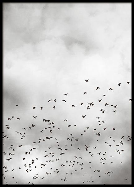 Print with photograph of the sky, webshop posters