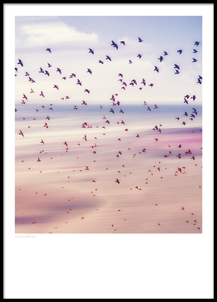 Cotton Candy Sky, Poster in the group Prints / Nature at Desenio AB (8397)