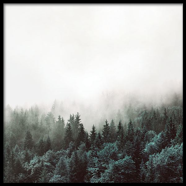 Tree Tops, Posters in the group Prints / Nature at Desenio AB (8587)