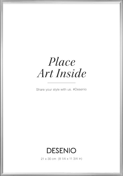 Picture frame Silver, 21x30
