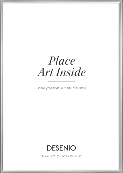 Picture frame Silver, 50x70