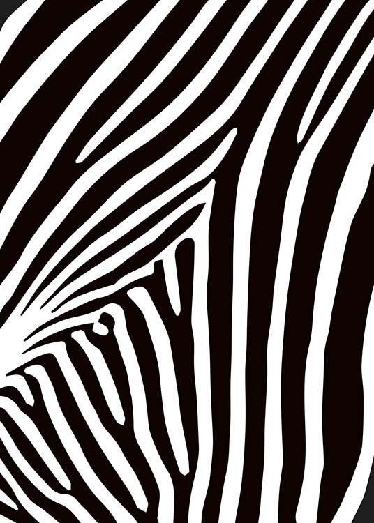  - Abstract poster with the black and white stripes of a zebra.