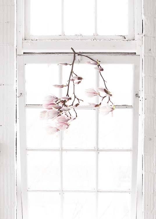 Flowers In The Window Poster / Photographs at Desenio AB (10182)