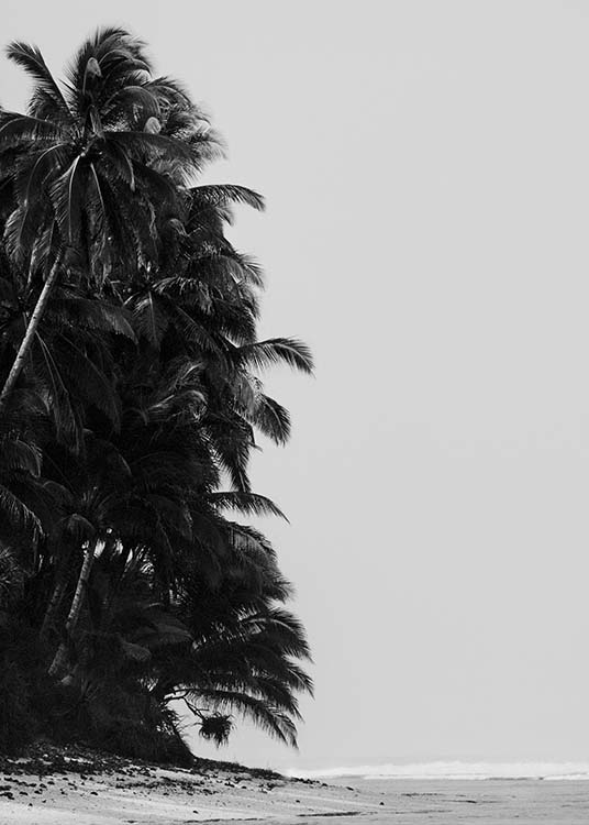  - Beautiful photo poster with palm trees on the beach of a secluded bay in black and white.
