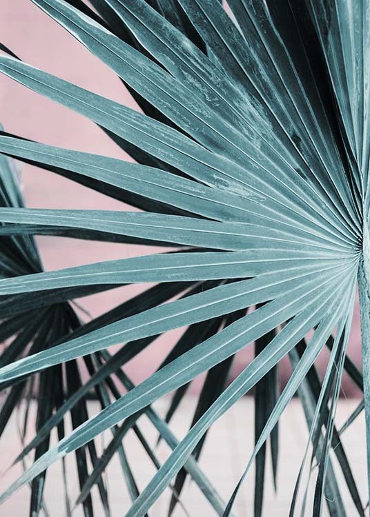  - Photo poster of a palm leaf and a white background in pastel colours.