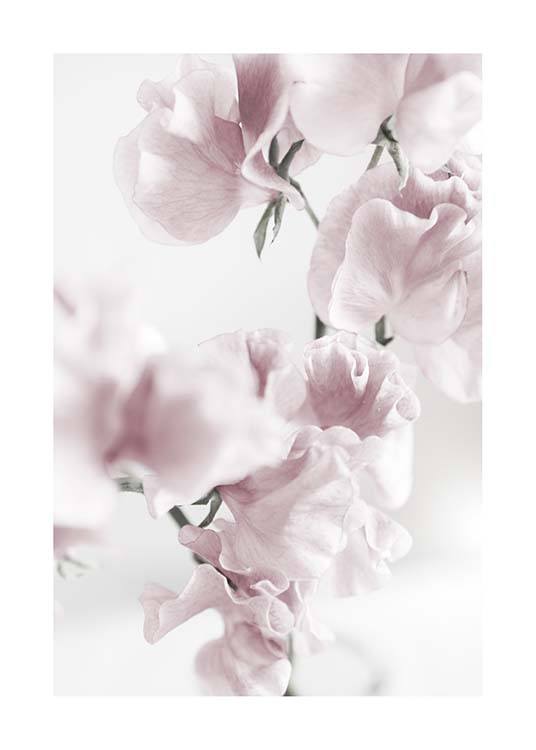 Summer Dream No1 Poster