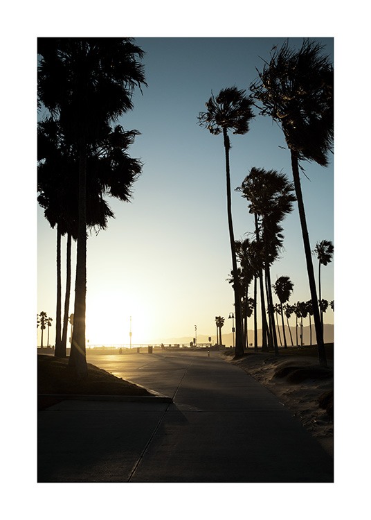 Venice sunset Poster / Tropical at Desenio AB (10783)