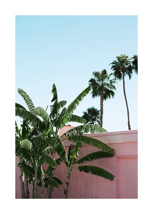 Pink Banana Leaves Poster