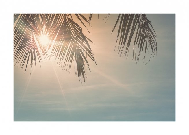 Sunset Palm Leaves Poster / Skies at Desenio AB (10882)