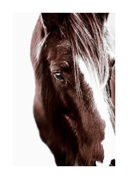 Horse with Blaze Poster