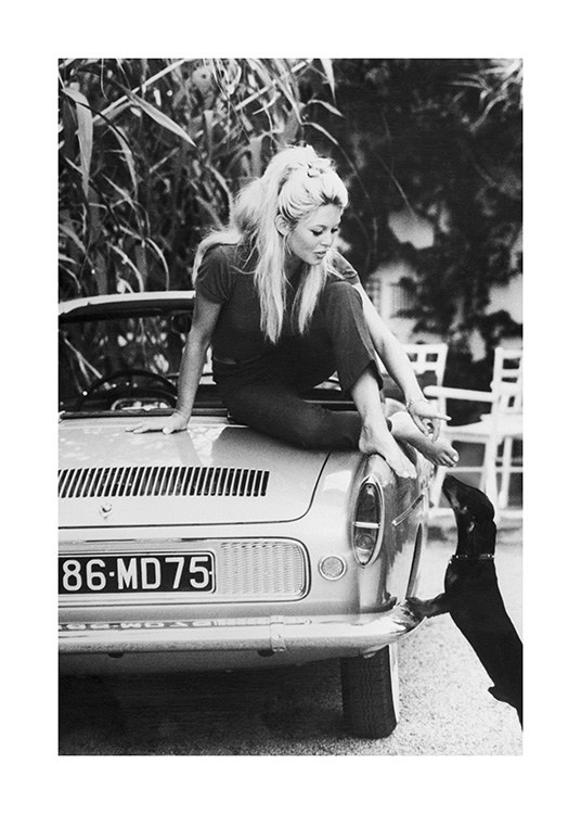  – Black and white photograph of Brigitte Bardot stretching down towards a dog from a car