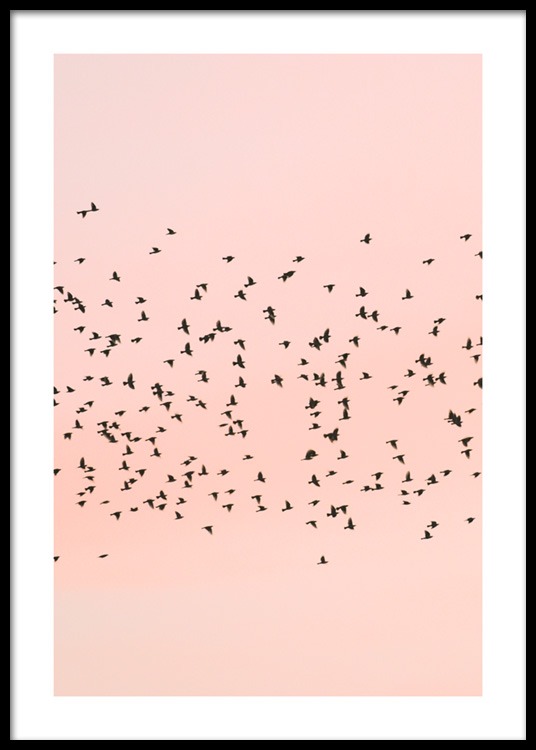 Pink Sunset Birds Poster / Nature at Desenio AB (12601)