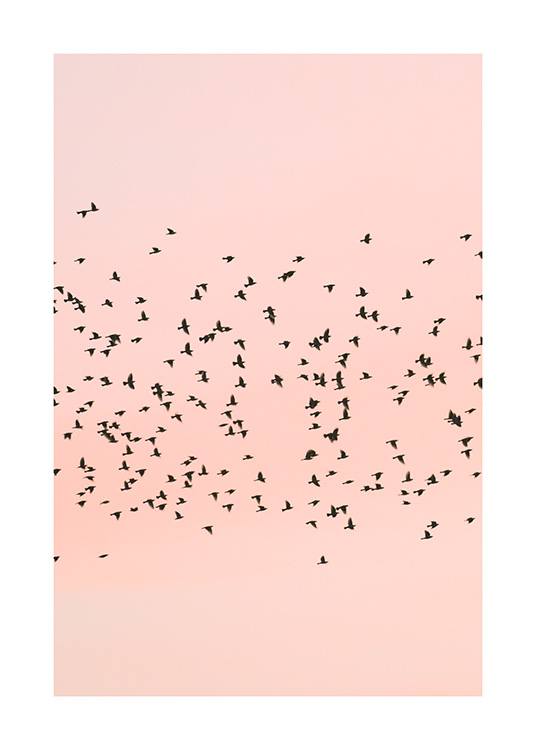 Pink Sunset Birds Poster / Nature at Desenio AB (12601)
