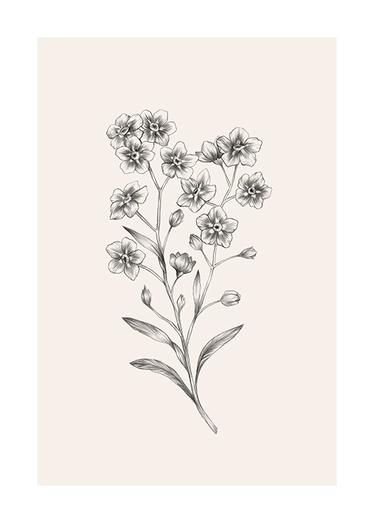 Forget Me Not Sketch Poster