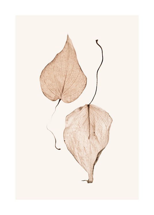 Two Dried Leaves Poster