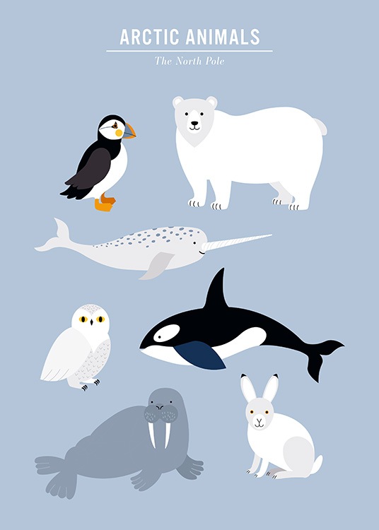 Arctic Animals Poster / Kids posters at Desenio AB (13316)