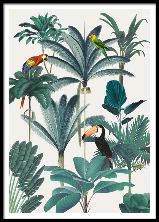 Royal Botanical Birds Poster
