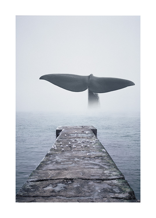 Whale Tail Poster